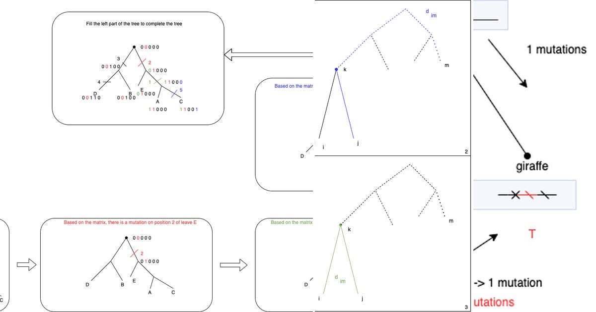 List: Foundations of Algorithms for Bioinformatics | Curated by ...