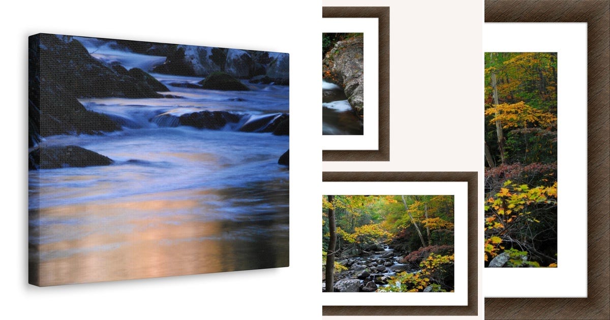 List: Nature Prints Digital Download | Curated by Paularino Photography ...