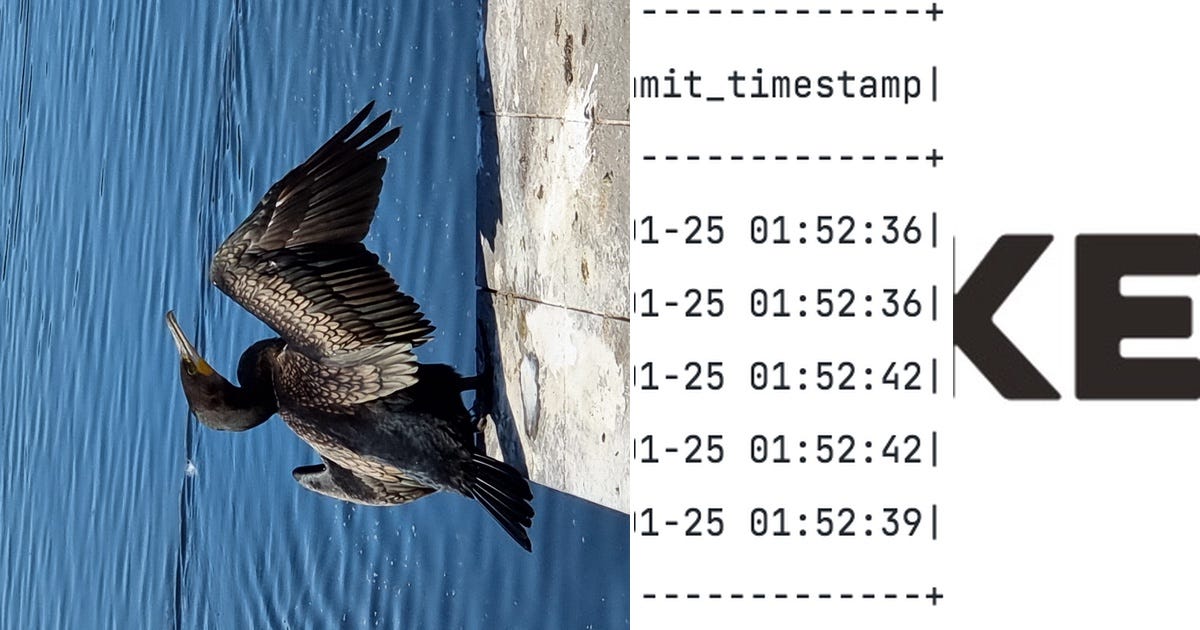 List: Databricks CDF use | Curated by Akshay Shinde | Medium