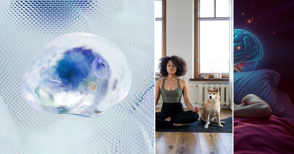 List: Brain Health | Curated by The Projekts | Medium