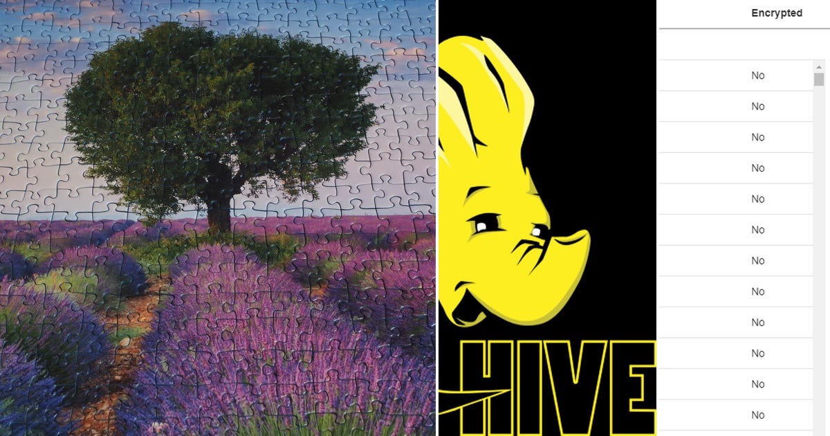 List: Hive | Curated by Rafael Bertola | Medium