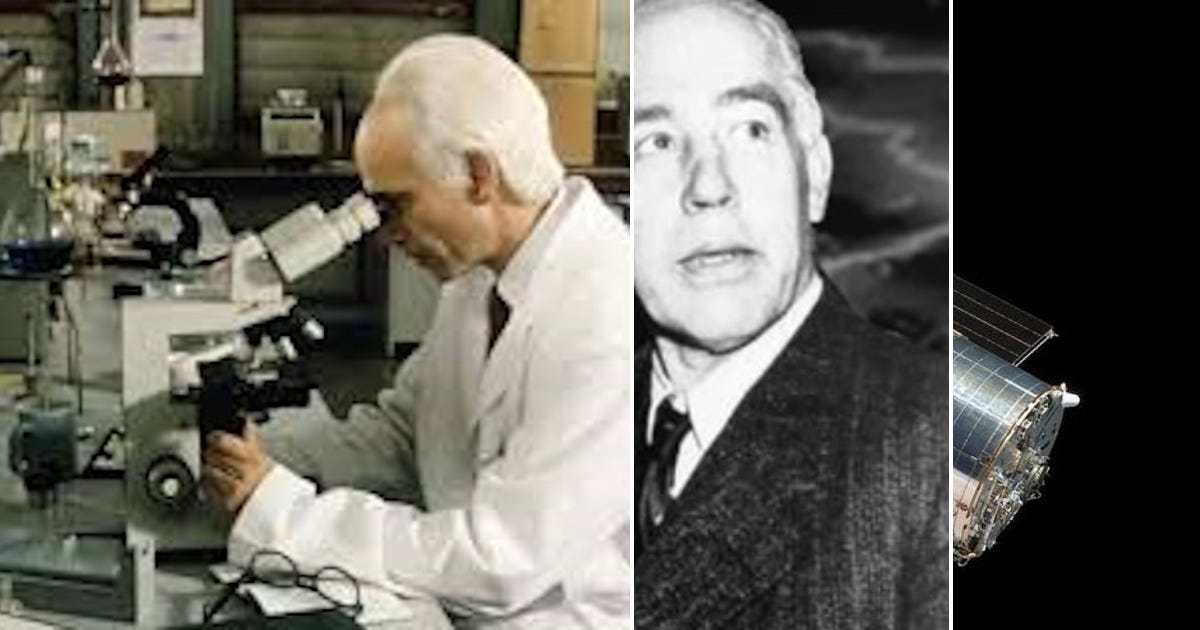 Xavier Alexander Wahlberg(02)