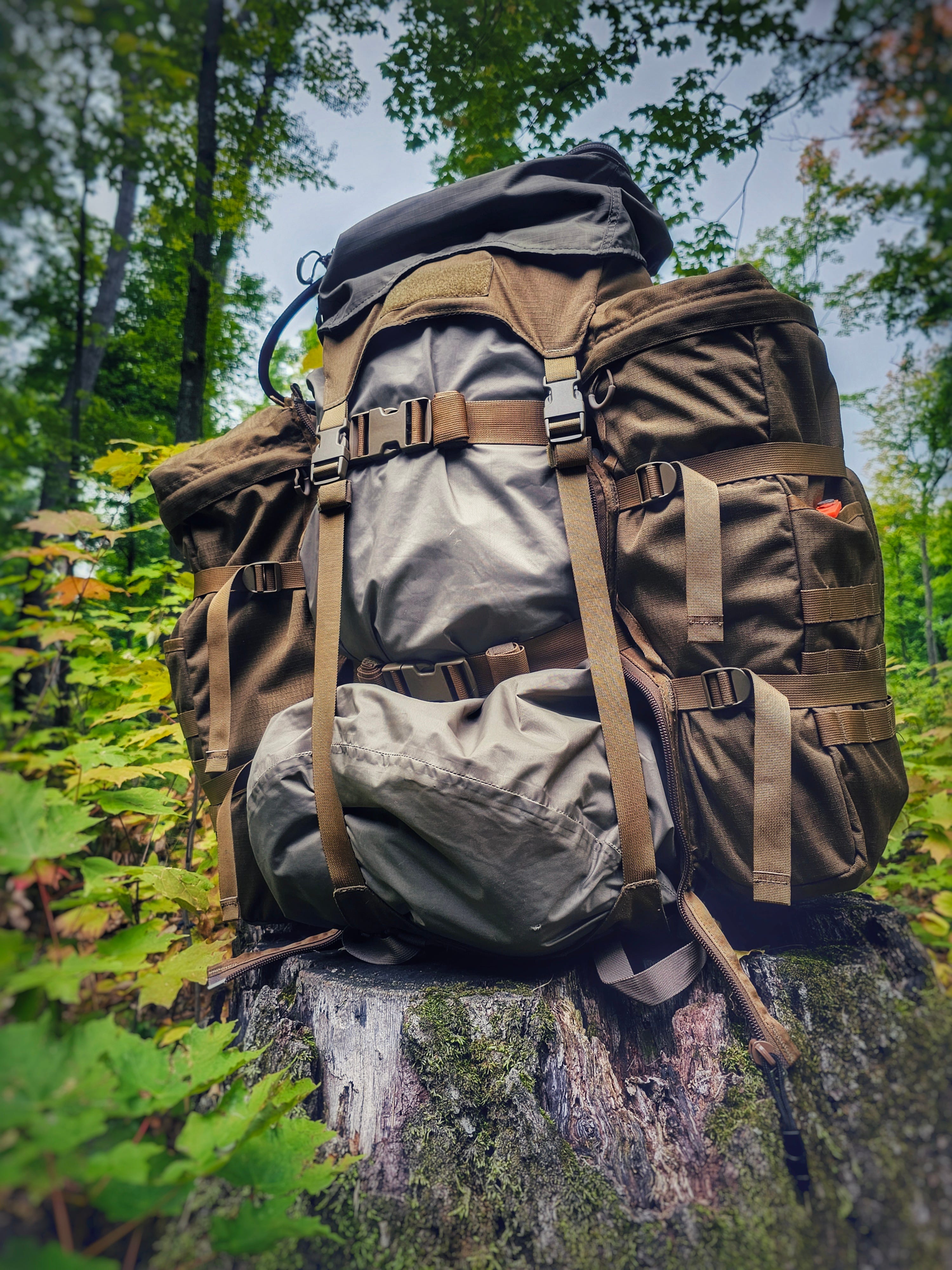 E​berlestock's J51 Warhammer: A Review. | by Daniel Hubatch