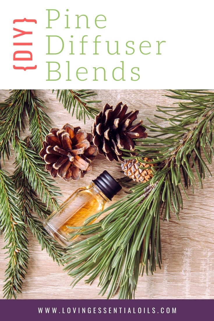 Pine Diffuser Blends — Forest Fresh Essential Oil Scents For Your Home | by  Jennifer Lane | Medium