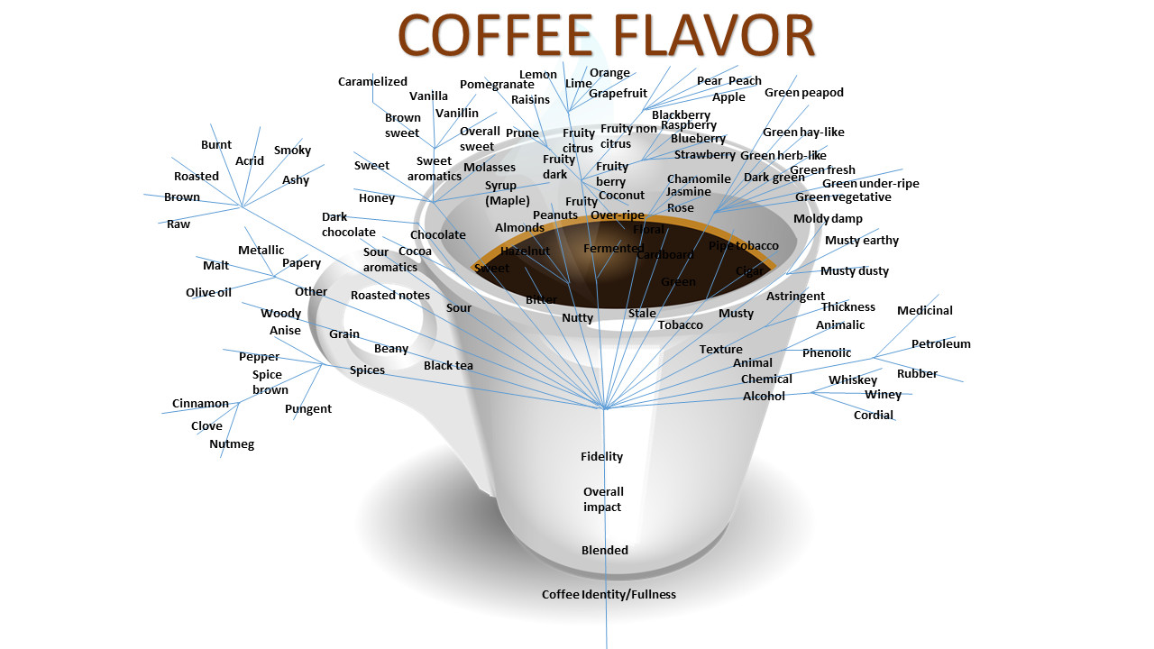 Is Pdf Coffee Safe: Exploring the Risks and Benefits, by Danafelisasilva, Dec, 2023