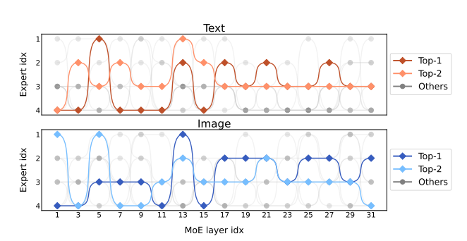 Visualization of activated pathways.