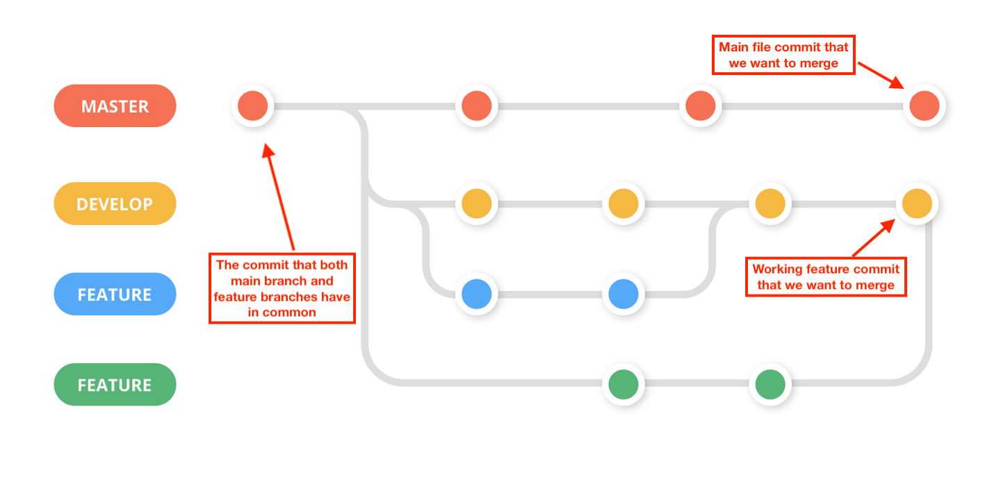 Merging GitHub Branches. How to merge GitHub Branches | by Sam Hall | Medium