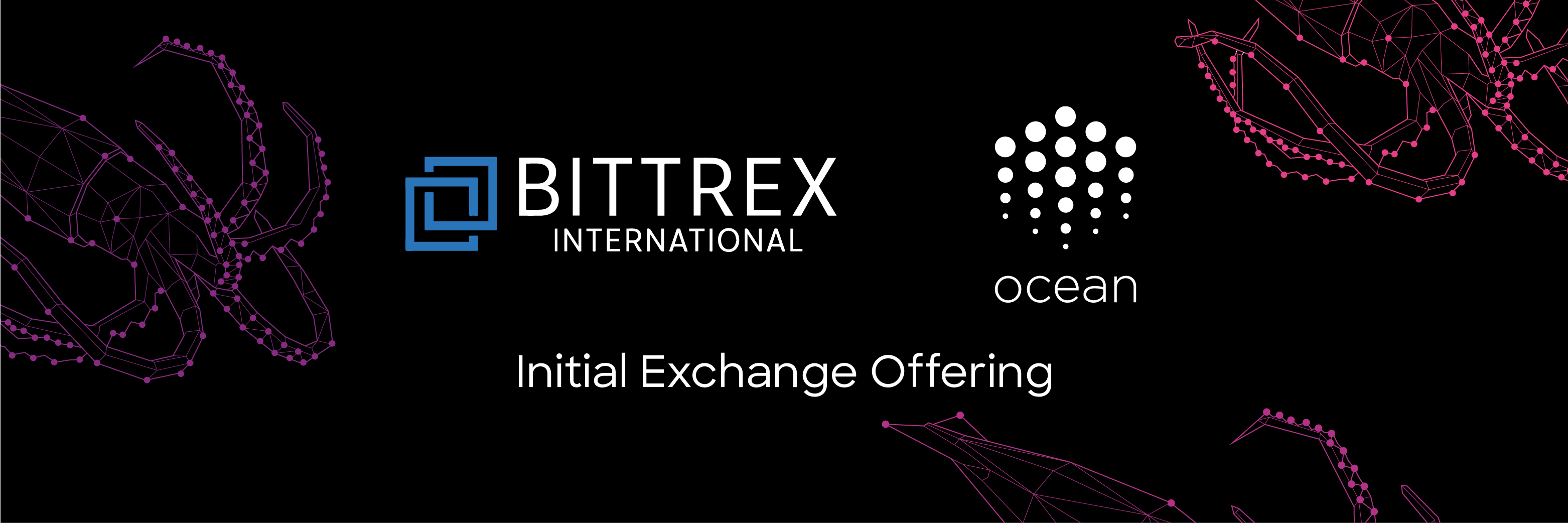 오션 프로토콜(Ocean Protocol) 비트렉스 인터내셔널 (Bittrex International) IEO 안내 | by  Ocean Protocol Team | Ocean Protocol International | Medium