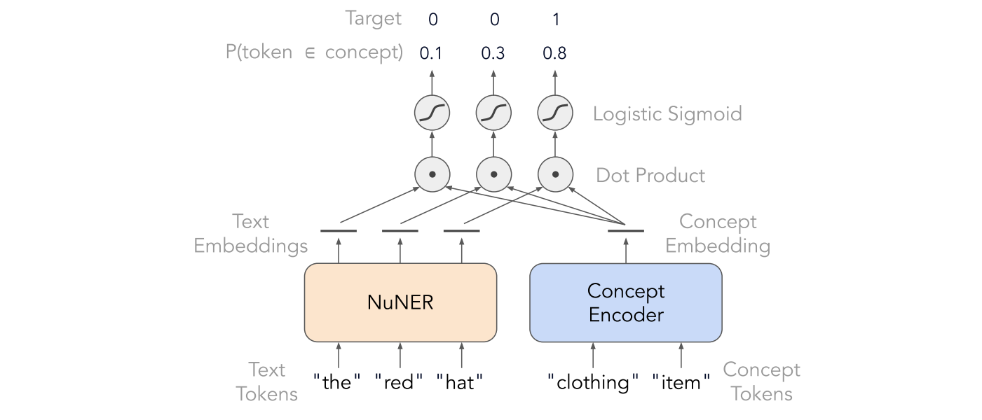 NuNER's pre-training procedure.