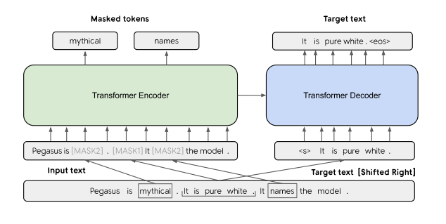 The base architecture of PEGASUS is a standard Transformer encoder-decoder. Both GSG and MLM are applied simultaneously to this example as pre-training objectives. Originally there are three sentences. One sentence is masked with [MASK1] and used as target generation text (GSG). The other two sentences remain in the input, but some tokens are randomly masked by [MASK2] (MLM).