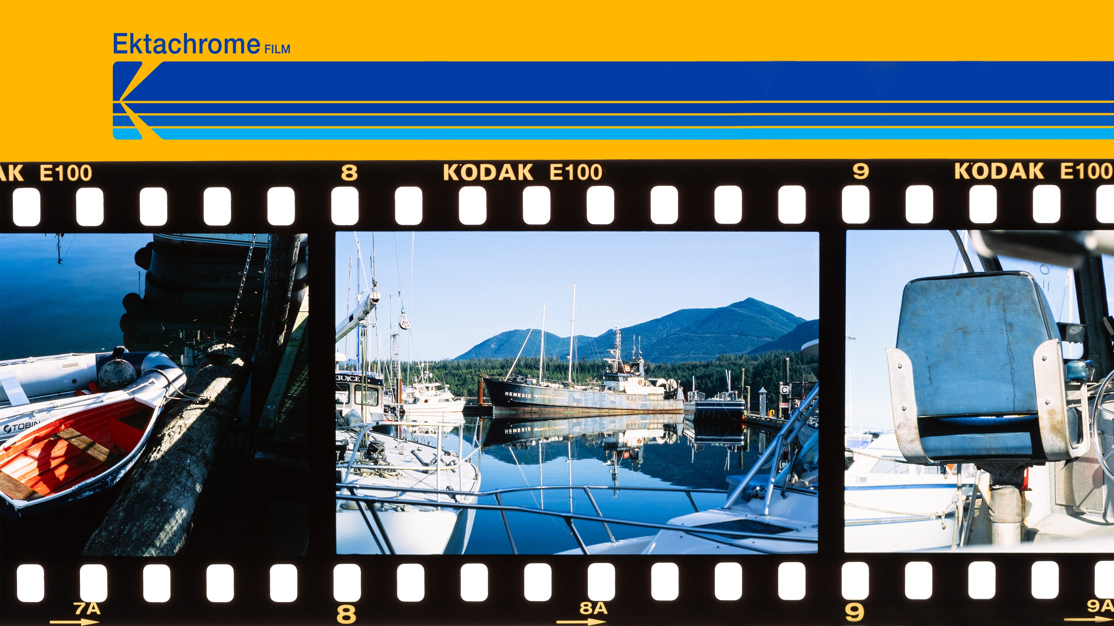The Art of Taming Ektachrome: Tips and Tricks for Stunning Results | by  Robin Férand | Medium
