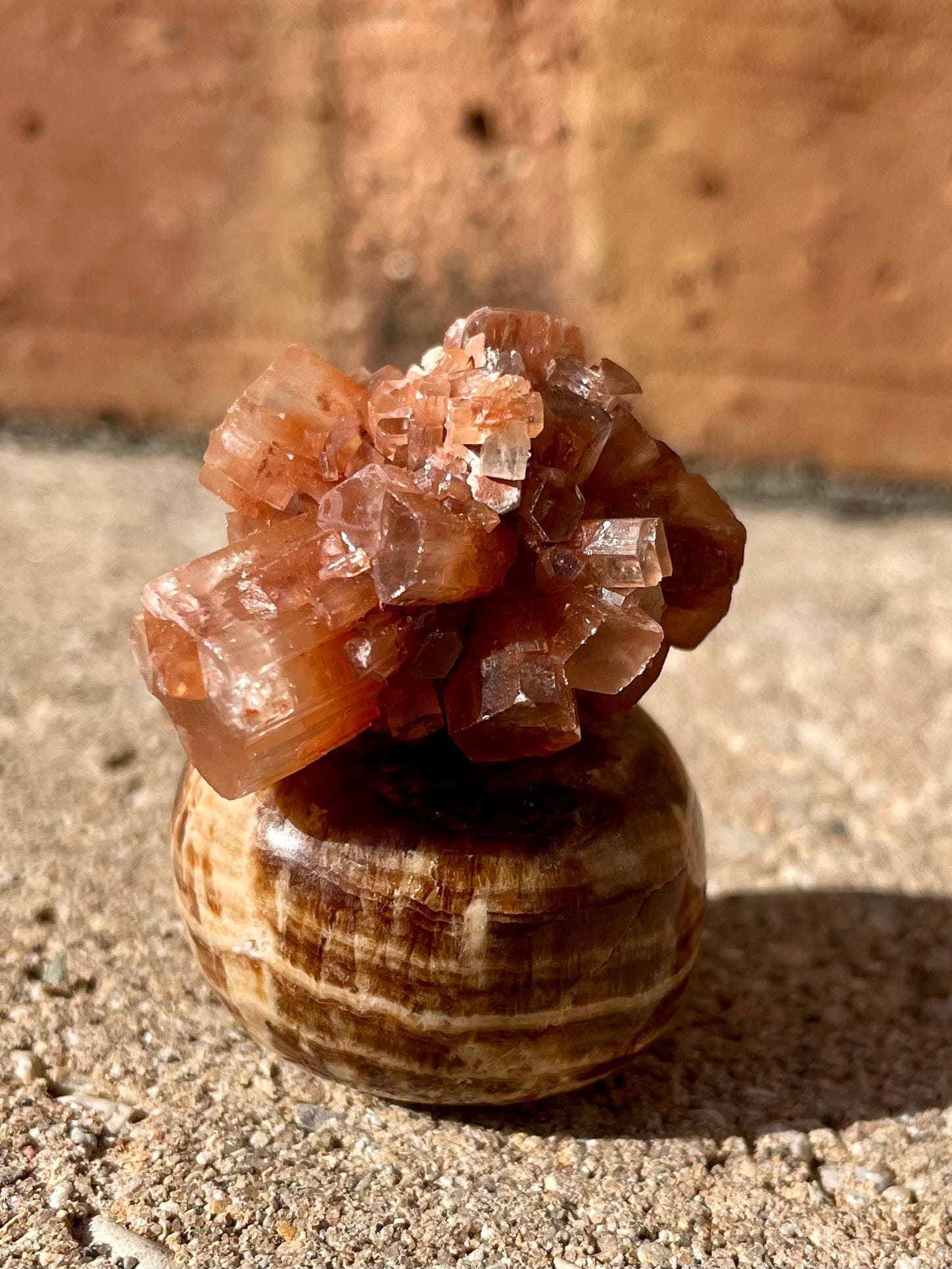 Brownish red crystals in this little rock. What might they be? : r/Crystals