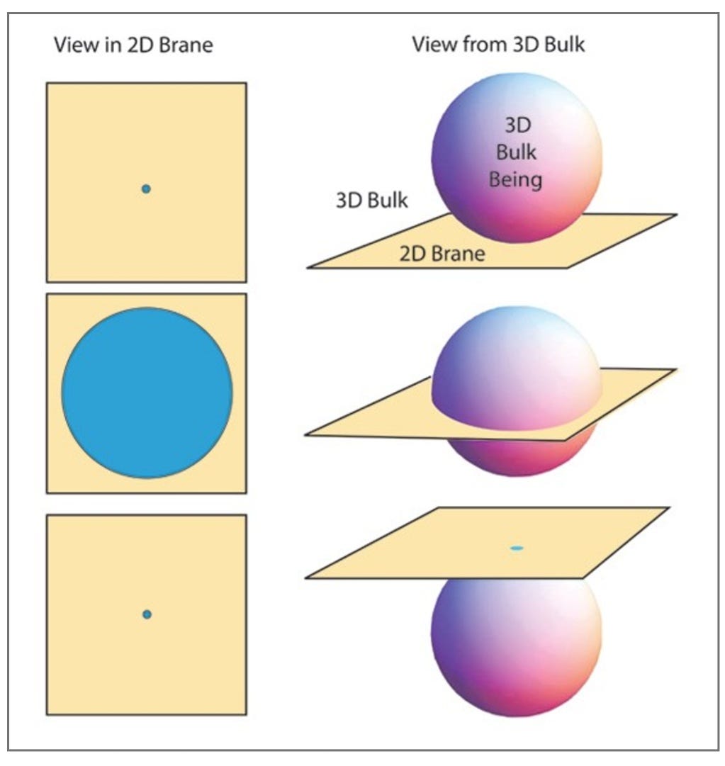 Do we see in 2D or 3D?