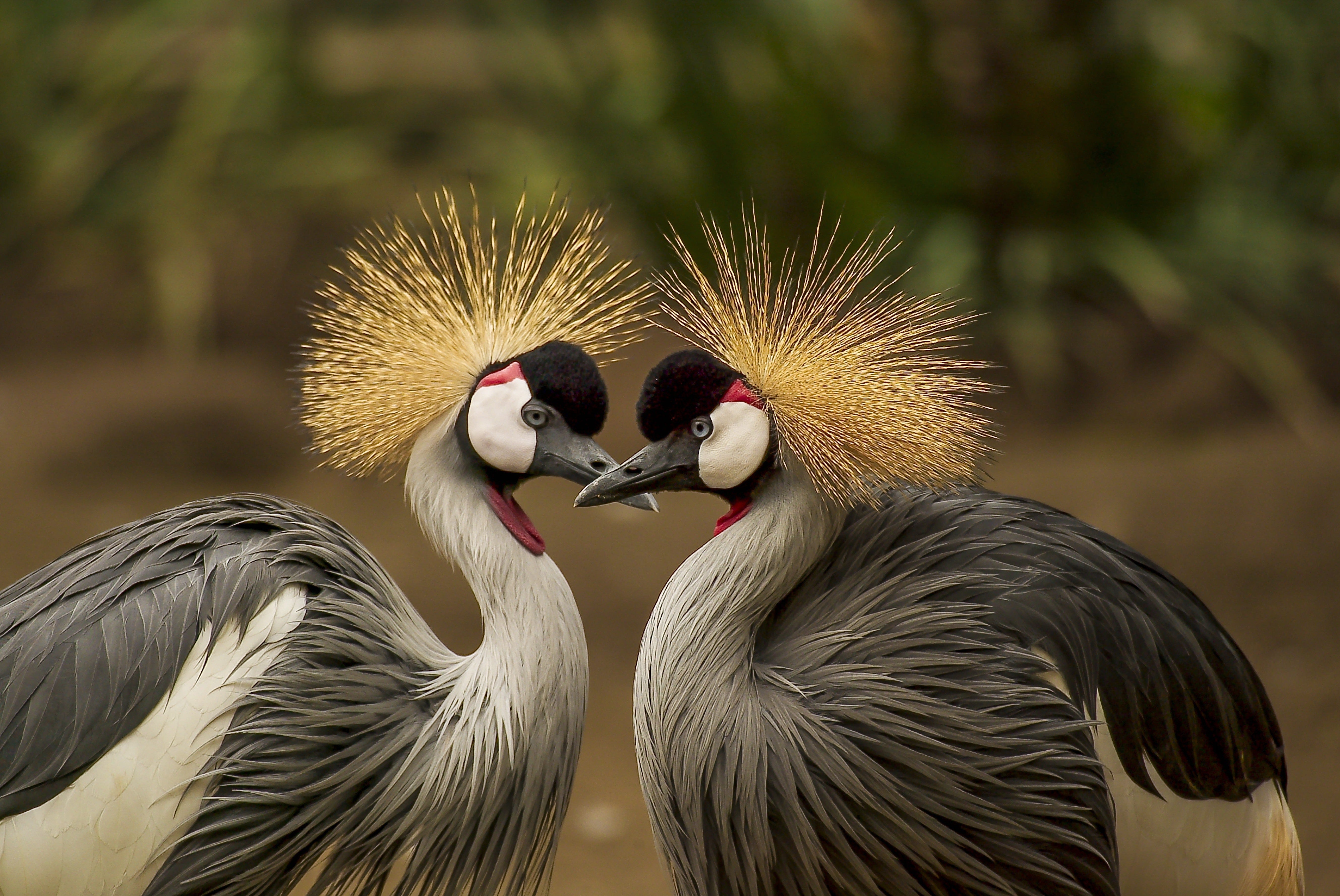 One Bad Hair Day Leads to a Lifelong Lesson #BadHairDay