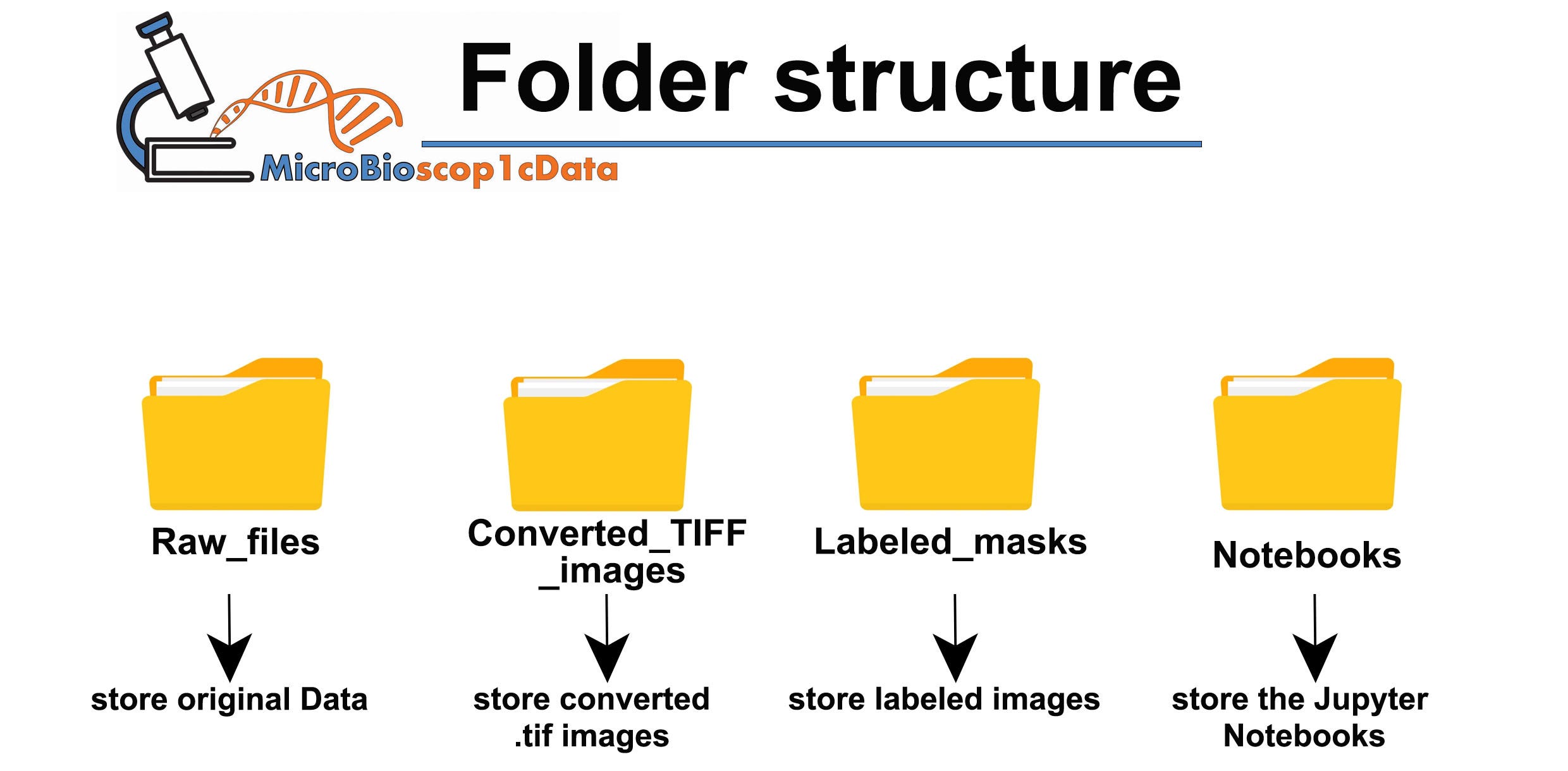 Labeling Cells with napari and Python: A Step-by-Step Guide for BioImage Analysis