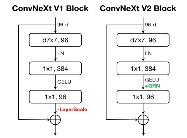 ConvNeXt Block Designs