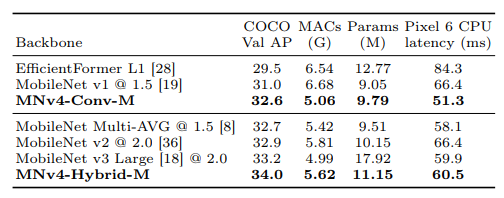 Object detection results on the COCO-17 Val set.
