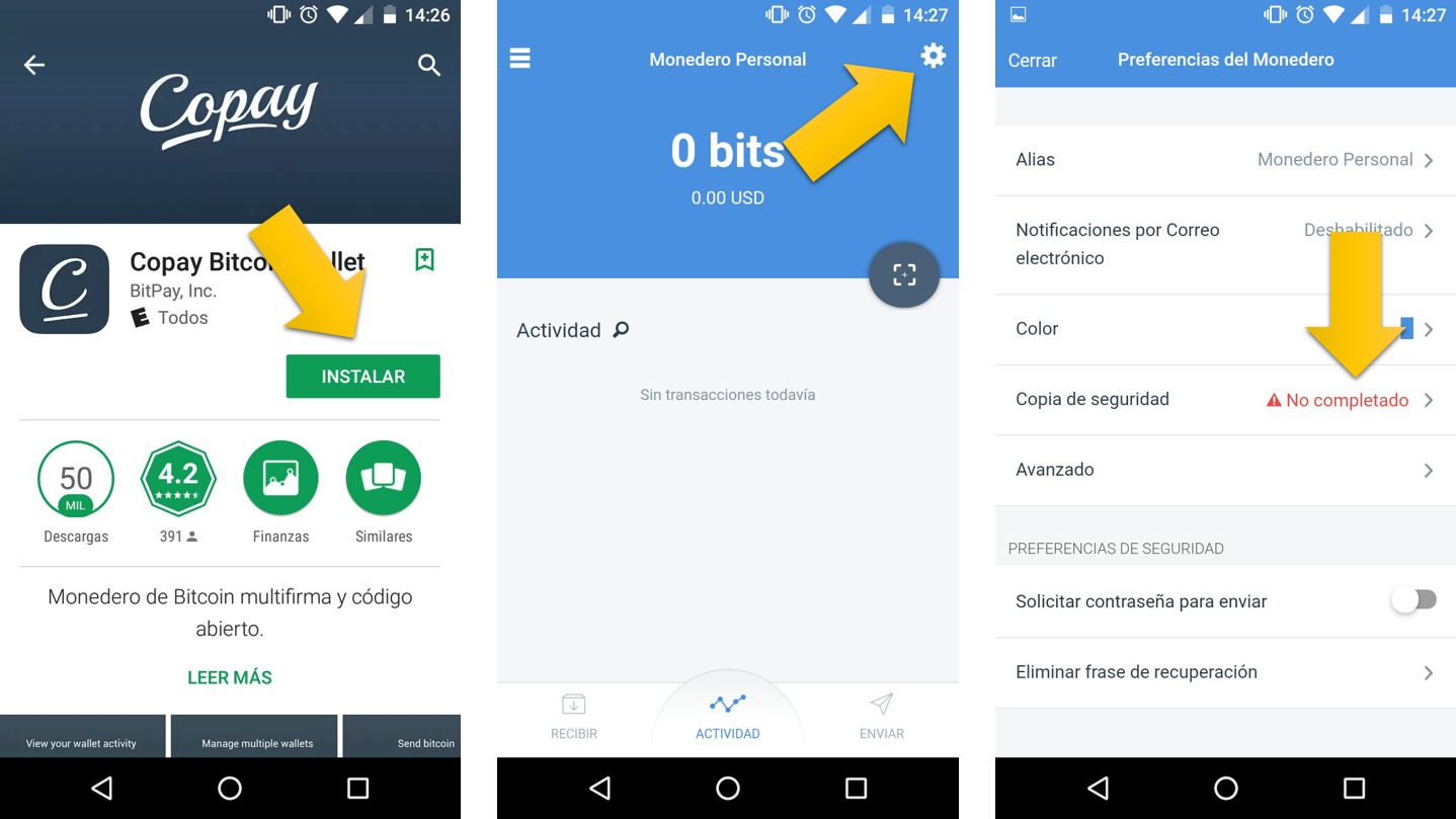 Cómo guardar los bitcoins que tienes en SURBTC en tu billetera Copay | by  SurBTC News | Medium