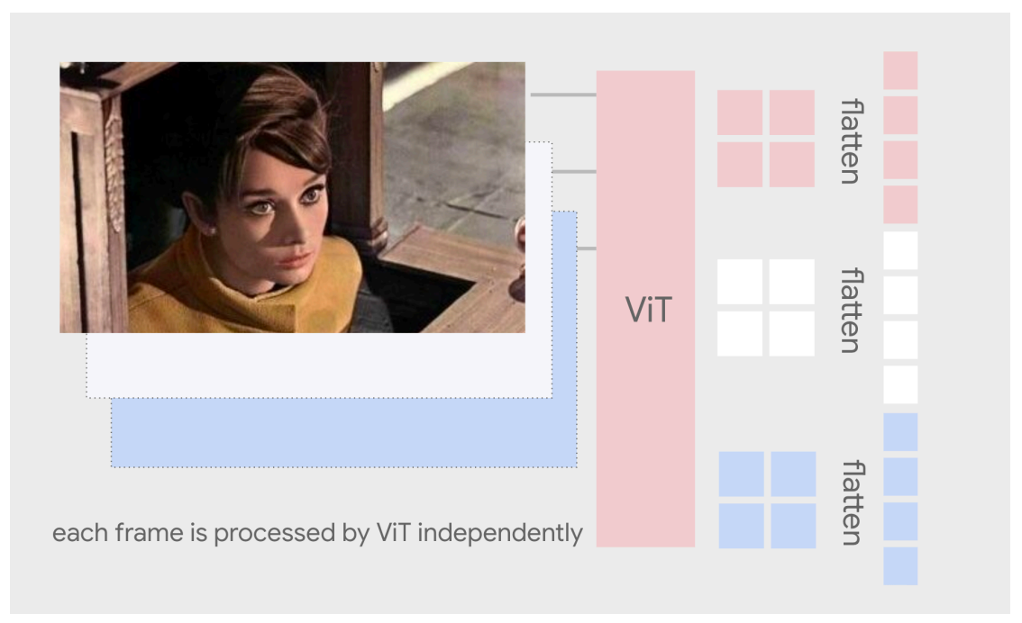 Visual input for videos.