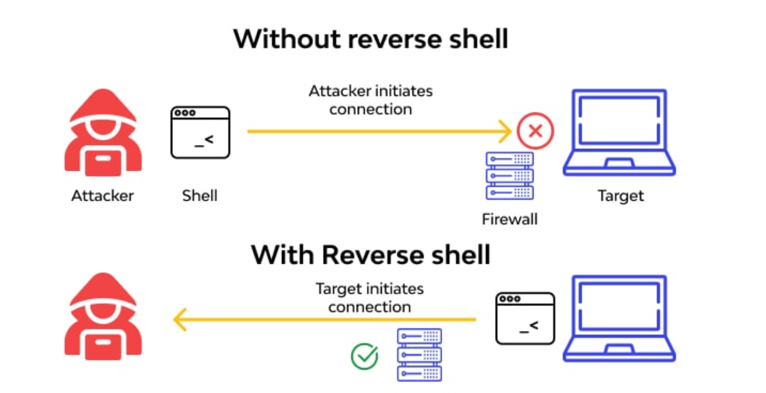 shells