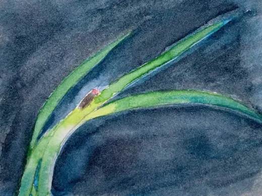 Algonomics: Indonesia’s Gambling Addiction & Impact To Economy