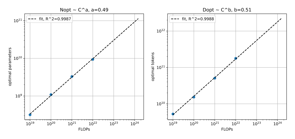 The scaling law obtained from all 4 compute scales.