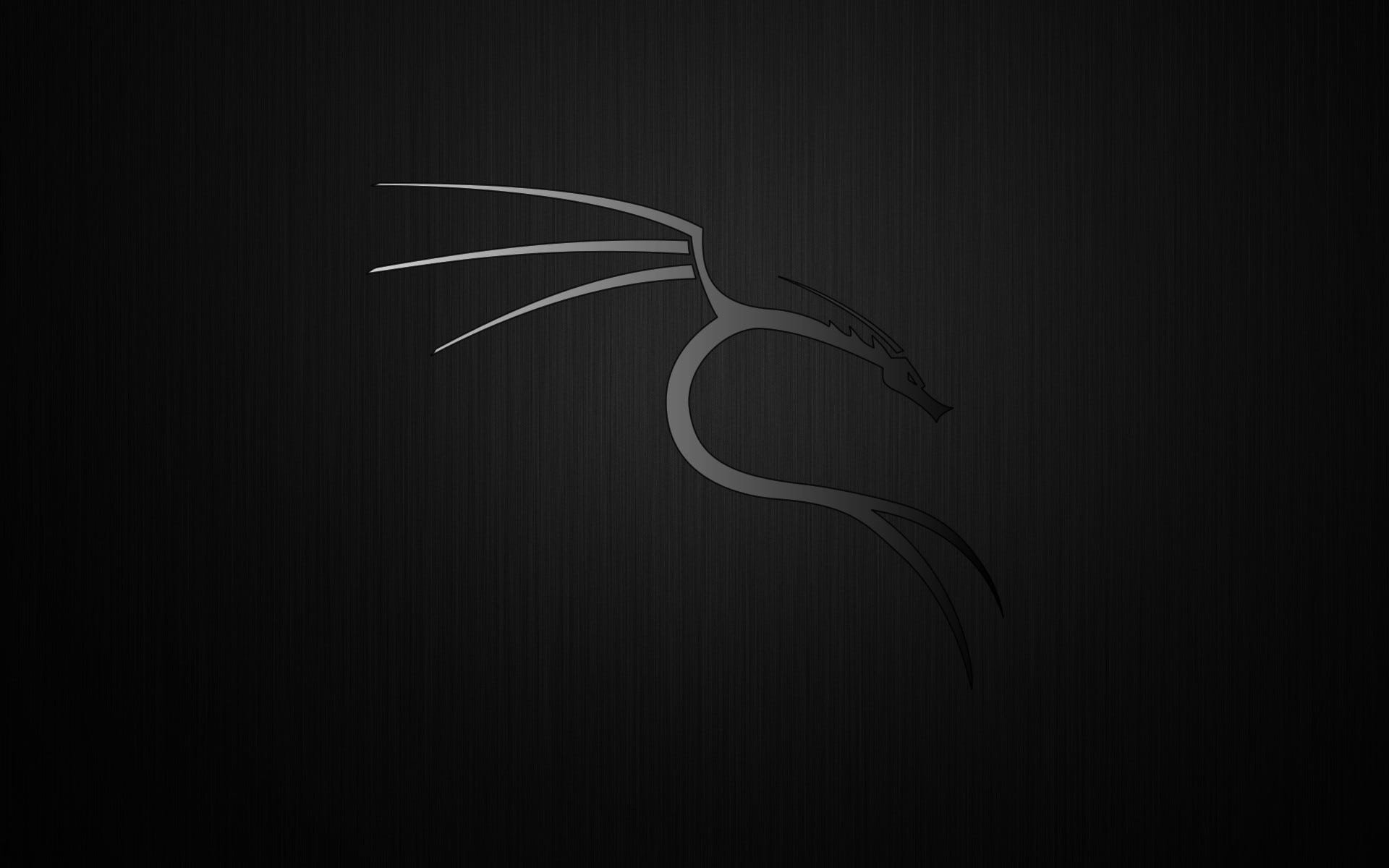 Kali Linux Background