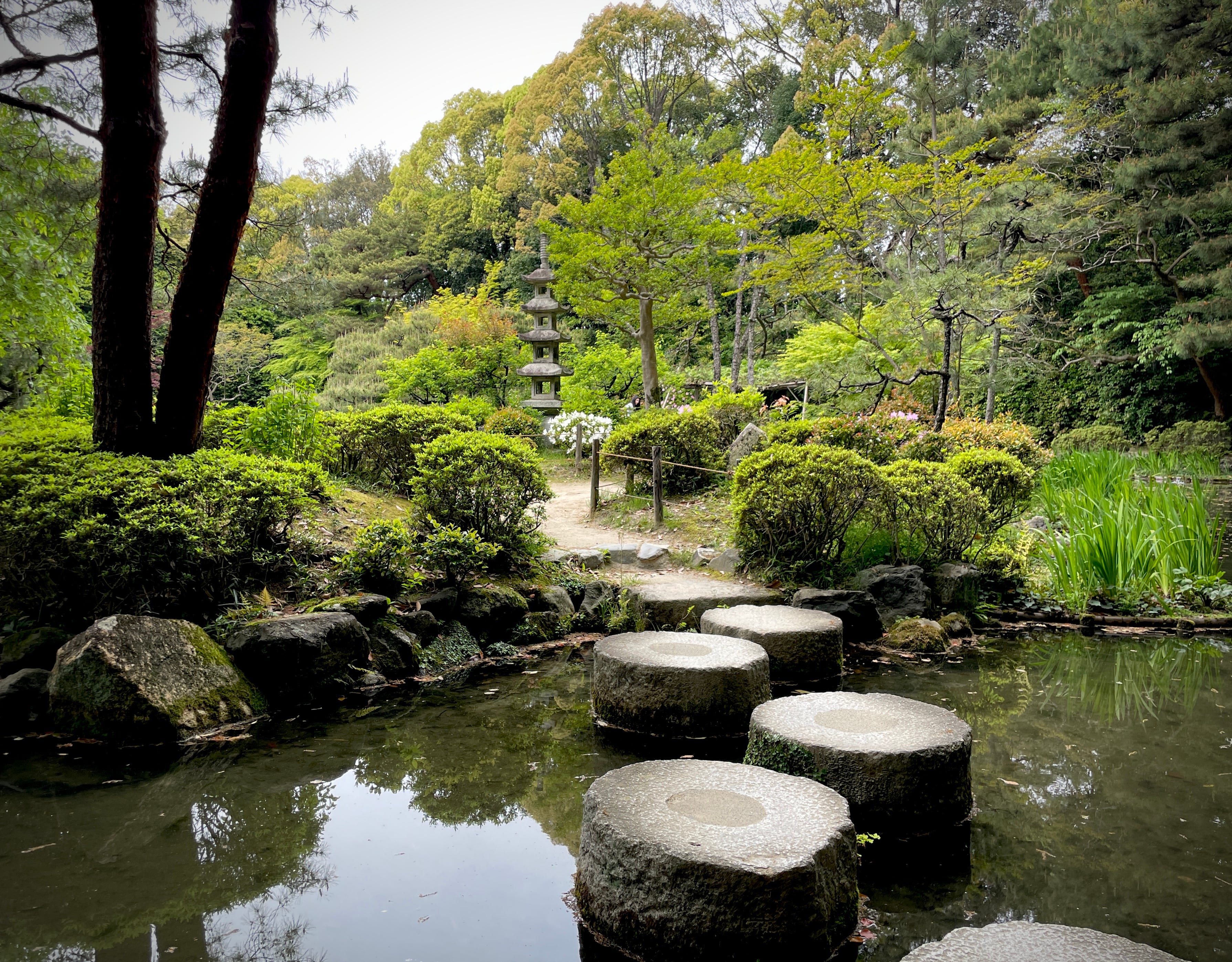 The Tranquil Zen Garden of Kyoto, Travel