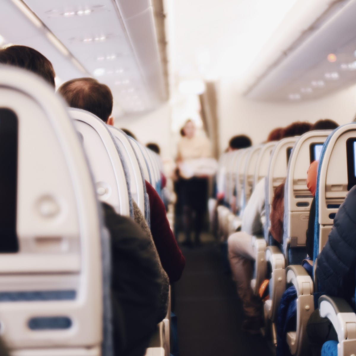 A Letter From the Fat Person on Your Flight | by Your Fat Friend | Human  Parts