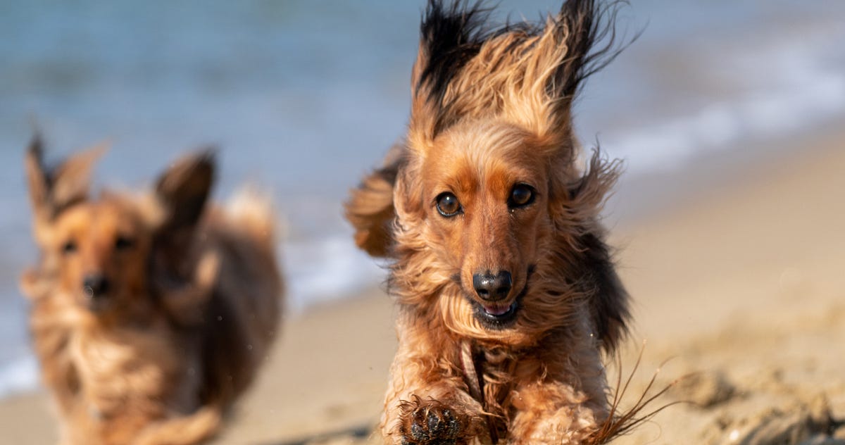 The Huge Difference Between ES6 import and ES5 require in JavaScript ...