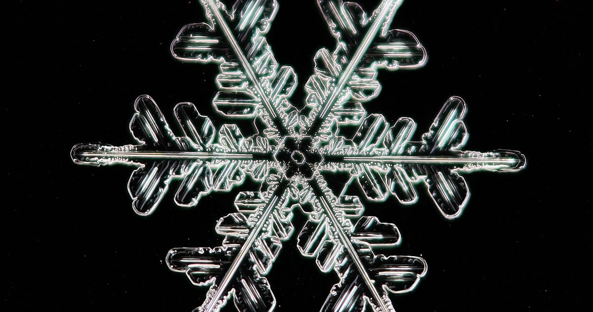 How do Snowflakes Form? Are They Really All Unique? | by Rosie Alderson ...