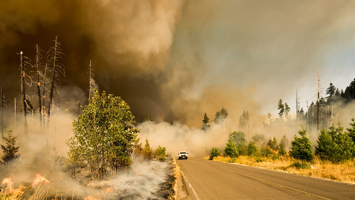 Image of: How to Evacuate From a Wildfire — A Comprehensive Checklist