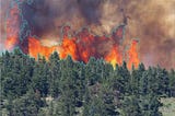 How Can AI Stop Wildfires?