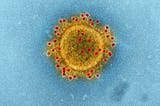 Living by Numbers — Coronavirus is No Reason for Panic