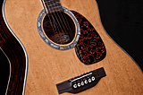 Takamine-Guitars-1