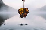 Settle * Submerge