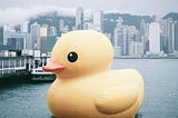 A giant rubber duck in a dock.