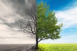 Refuse to Fail: Insights From a Turnaround Mastermind