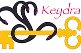 Introducing Keydra