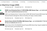 Installing OpenVPN server in AWS EC2 with User data