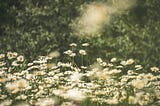 The Roots of Good Mood
