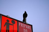 How to prepare well for public speaking