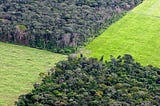 Opinion: US and China Trade Relations Will impact the Future of the Amazon and Soybean Production…