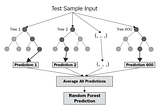 Predicting rental income with machine learning