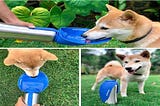 Dog Water Bottle Dispenser Review