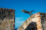 One big leap for a better career