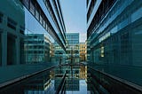 What Corporates Should (Not) Learn from VCs