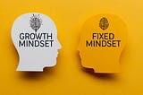 The Power of a New Mindset: How to Transform Your Life In 2024