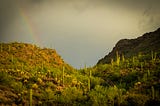 Autumn sneaks in in the desert