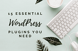 15 Essential WordPress Plugins you MUST HAVE — ShegoWandering